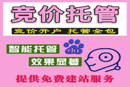 SEM专员案例：广告投放策略调整